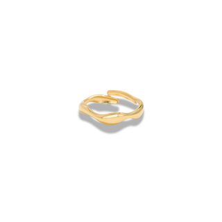 Bague NAMI