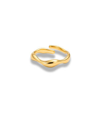 Bague NAMI